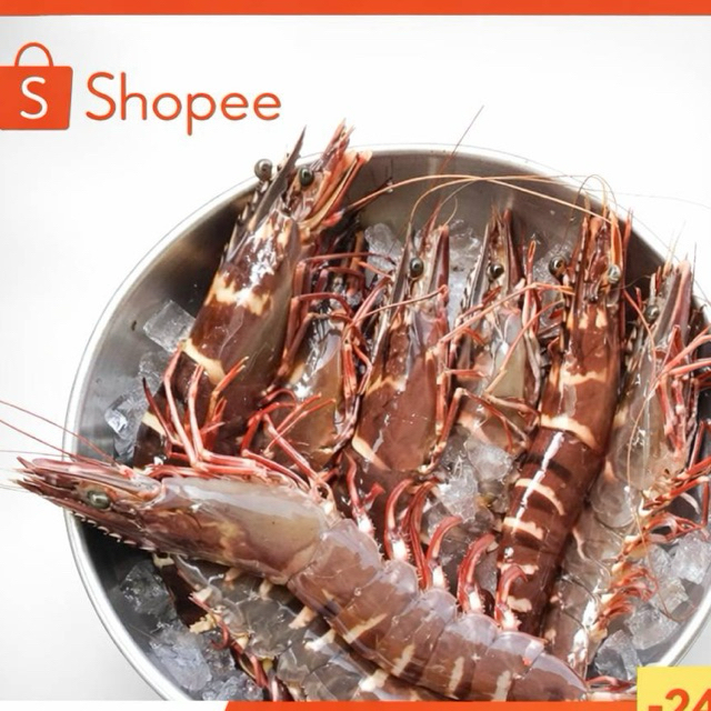 กุ้งลายเสือแดง  ไซส์9-12ตัวโล อาหารทะเล กุ้ง