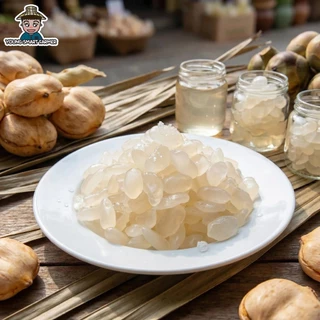 ลูกชิดอบแห้ง ไม่น้ำตาล รสธรรมชาติ เกรด AAA 500 g (Dried Palm Seeds)