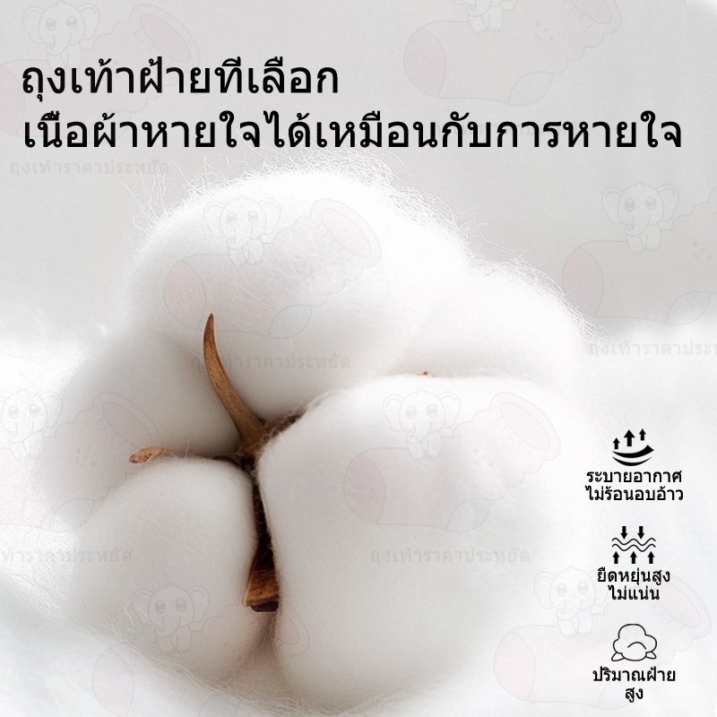 รูปภาพ 8