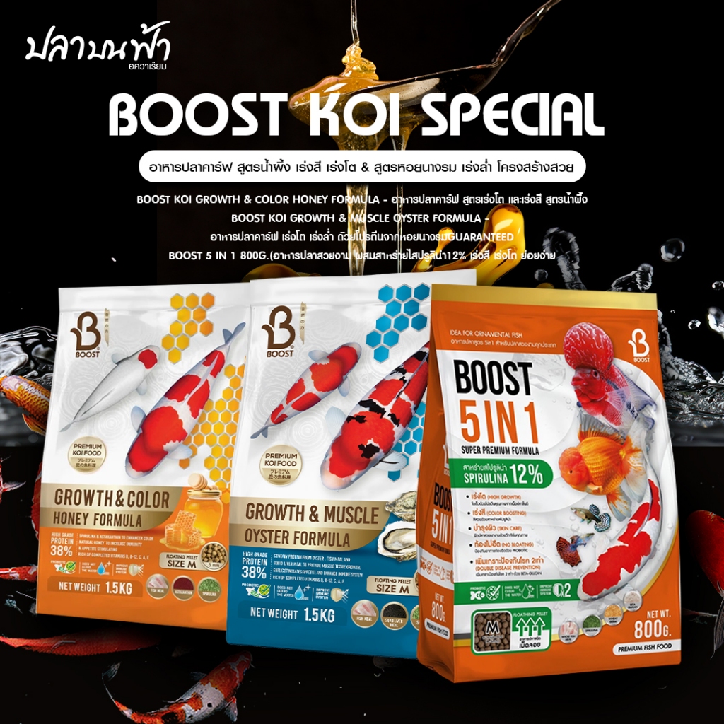 Boost อาหารปลาคาร์ฟ ปลาทอง ปลาสวยงาม สูตร 5in1 สูตรน้ำผึ้ง และสูตรหอยนางรม สำหรับปลาสวยงาม ครบจบในถุงเดียว