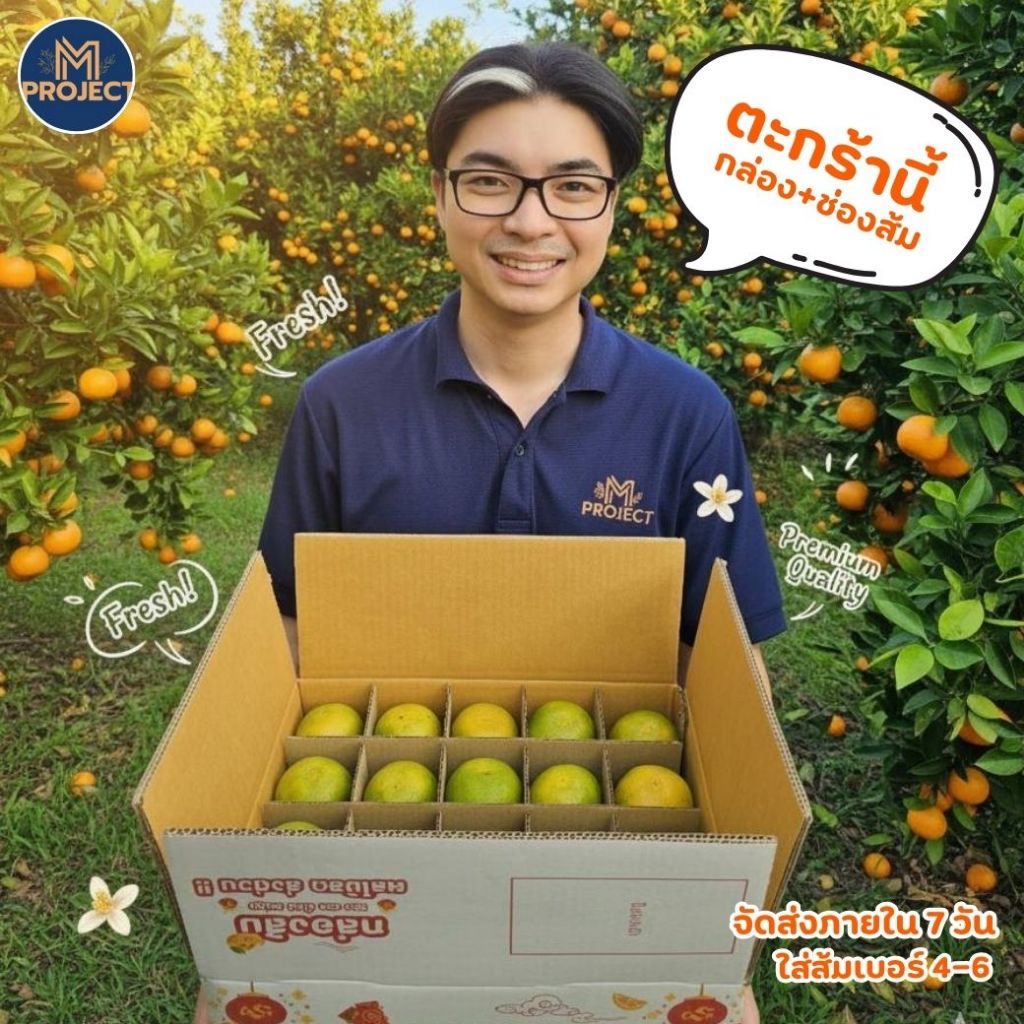 จำหน่ายกล่องส้ม 5 โล + ช่องส้ม 40 ลูก (แพ็คเก็จ 1 ชุด l 5 ชุด l 10 ชุด) ขายกล่อง/ไม่ได้ขายผลไม้