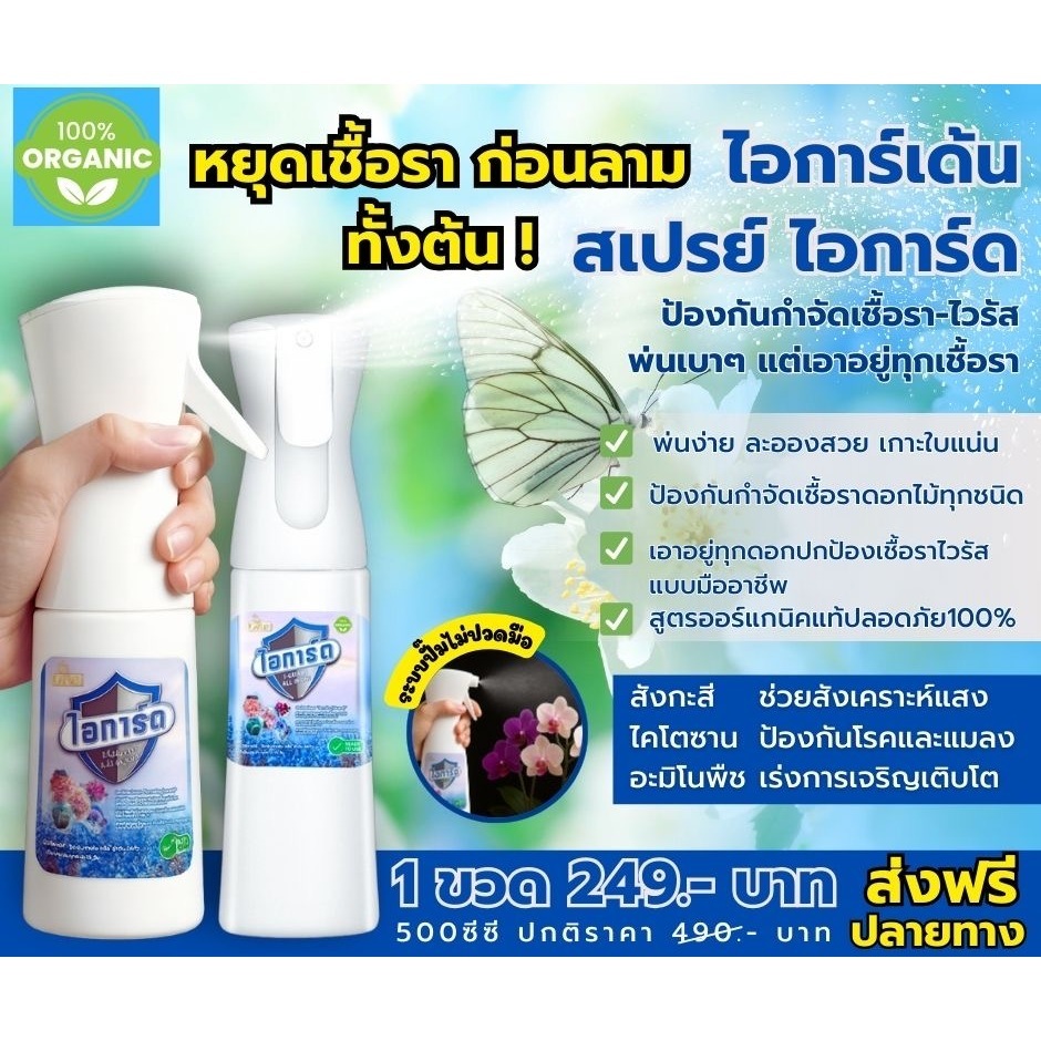ใบเป็นจุดดำ โรคราแป้ง  ราน้ำค้าง  ราสนิม  ไวรัสดอกเส้นแดง  สเปรย์ ไอการ์เด้นพร้อมใช้  ไอการ์ด