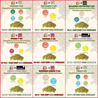 [2 Oz] ฮอปส์(Hops) ขนาดบรรจุ 2 Oz.(57 กรัม) - Crop Year 2024-2025 Amarillo,Citra,Mosaic,Cascade,Centennial,Cashmere, Man