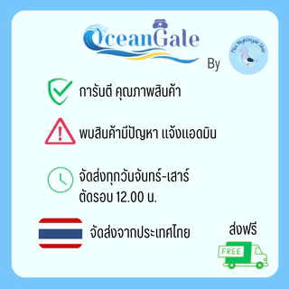 ตัวช่วยหักแอมป์ยา แอมป์พูลยา “Oceangale" By Miss Nightingale สำหรับแพทย์/พยาบาล