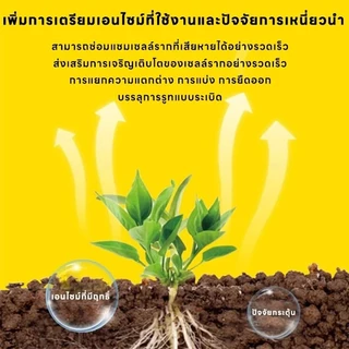 【GreenThumb】โพแทสเซียมไดไฮโดรเจนฟอสเฟต 250 กรัม แบบสำเร็จรูป ส่งเสริมการเจริญเติบโตของดอกและผล ปุ๋ยไม้ผล