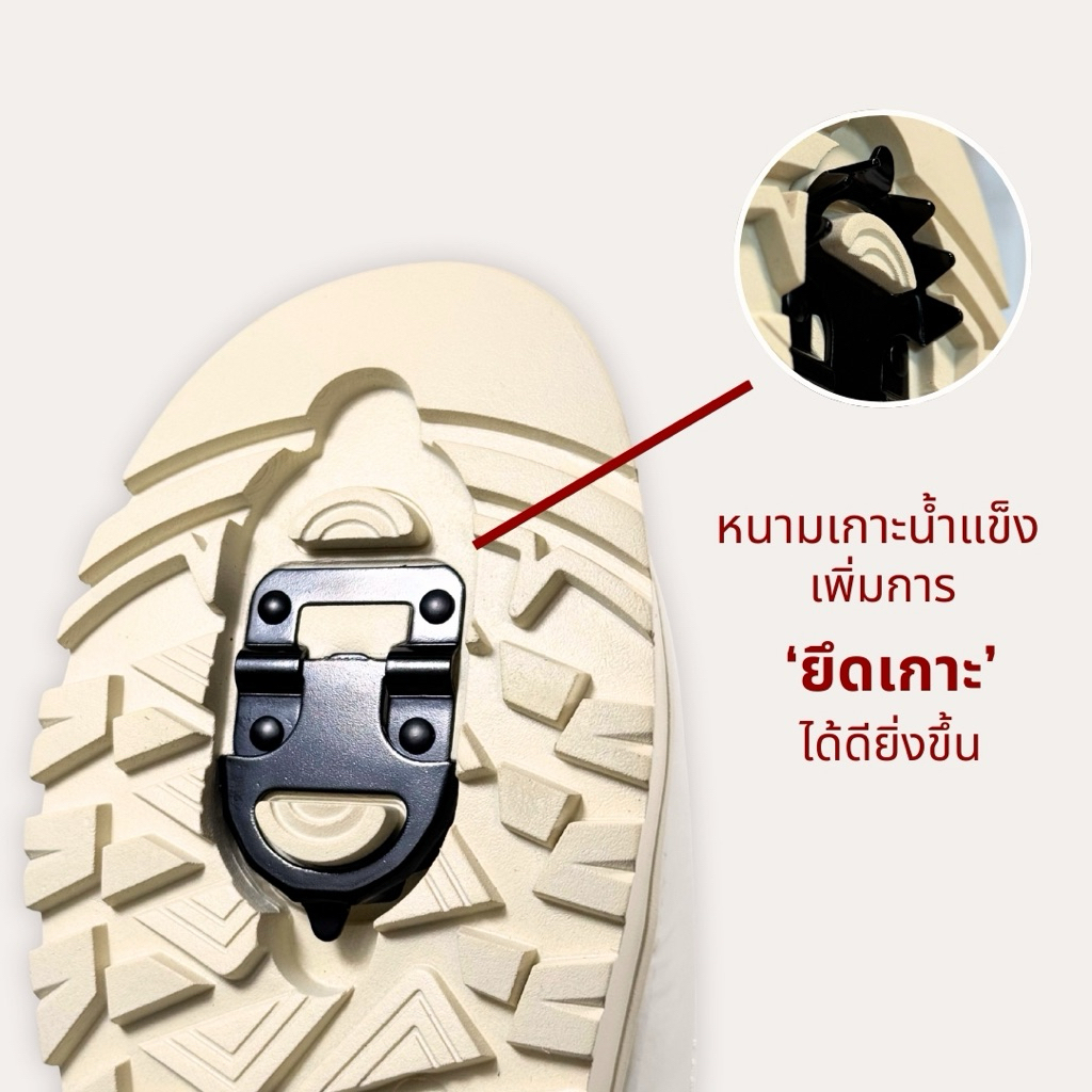 รูปภาพ 2