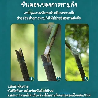 3cmx200m เทปพันกิ่งไม้ อุปกรณ์ทำสวน เทปพันตอนกิ่ง อุปกรณ์การเกษตร เทปพันกิ่งทาบ พลาสติกทาบกิ่ง เทปติดตาต้นไม้ฟิล์มยืด