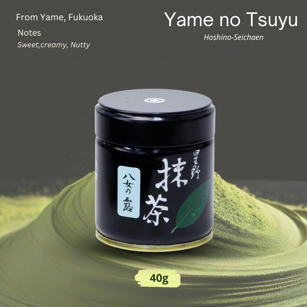 [พร้อมส่ง] Yame no tsuyu 40g จาก Hoshino-Seichaen