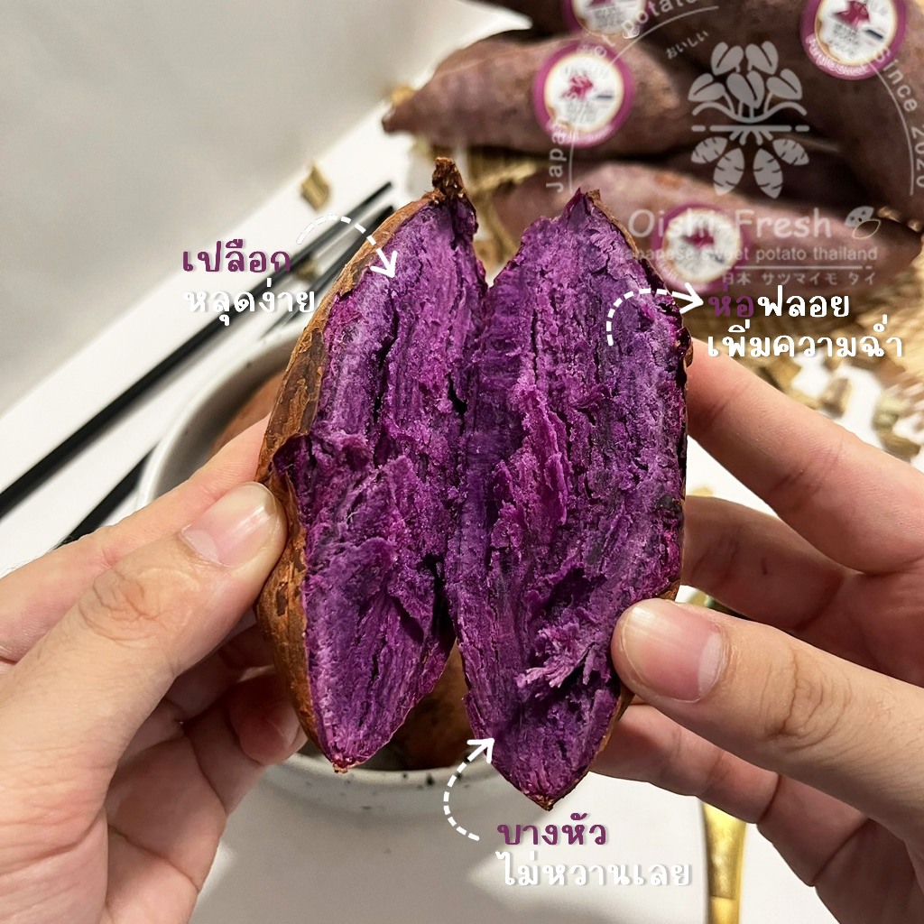 รูปภาพ 6