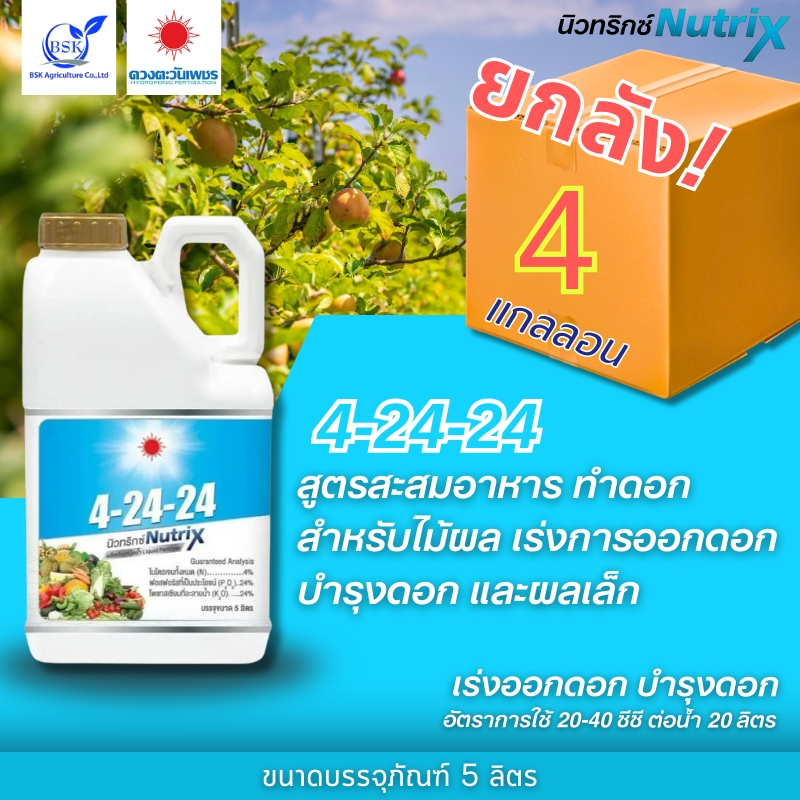 (ยกลัง5L*4) 4-24-24 แกลลอน 5 L (ดวงตะวันเพชร)