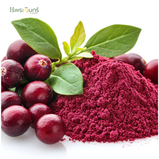 ผงแครนเบอร์รี่ มีอย. แท้ ไม่ผสมแป้งและน้ำตาล แบรนด์ไร่พระจันทร์ (Cranberry Powder ผงแครนเบอร์รี่ แครงเบอร์รี่ชงดื่ม)