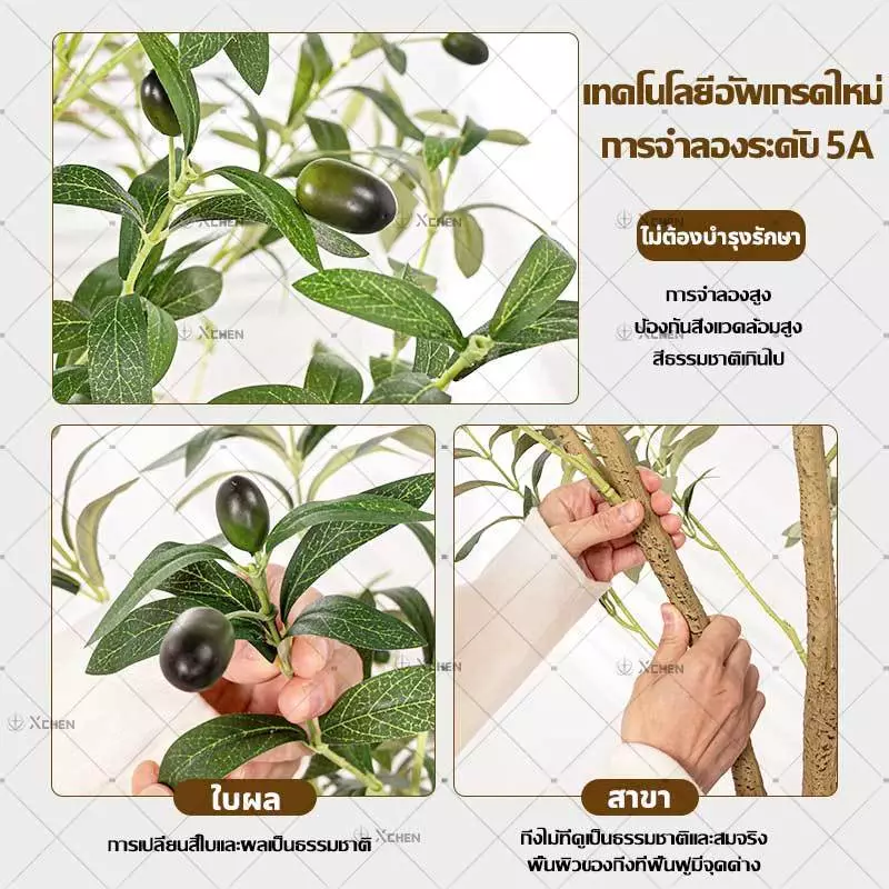 ต้นโอลีฟปลอม ต้นมะกอกประดิษฐ์ ลำต้นเหมือนจริง ตกแต่งบ้าน thumbnail 7