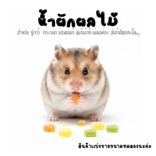 ขนมสุ่ม 1 บาท เลือกได้ แฮมสเตอร์ ชูการ์ กระรอก กระต่าย เม่น ดอร์เมาส์ สัตว์ฟันเเทะอื่นๆ