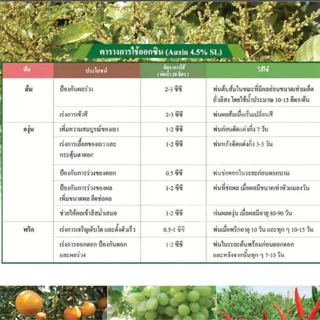 ออกซิน โซตัส ยาขั้วเหนียว เปลี่ยนเพศดอก ป้องกันการรั่วดอกและผล เร่งการเกิดรากของกิ่งชำ