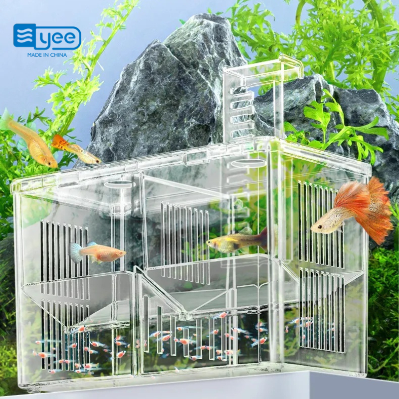 Yee Fish Breeding Isolation Box กล่องเพาะพันธุ์ปลาอะคริลิก กล่องฟักไข่ปลา กล่องแยกปลา กล่องเพาะลูกปลา กุ้ง ปลาหางนกยูง