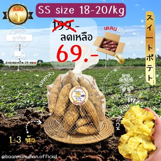 Oishi-Fresh มันหวานญี่ปุ่น 🍠ไซต์ Snack 🍠🇹🇭ปลูกไทย🇹🇭 โคกาเนะ …