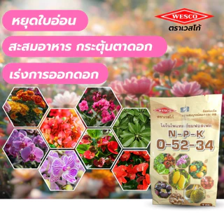 ปุ๋ยเกล็ดเวสโก้ สูตร 0-52-34 (MKP) เปิดตาดอก หยุดยอด เร่งใบแก่ สะสมอาหาร ปุ๋ยทำหวาน ทุเรียน ลำใย มัน