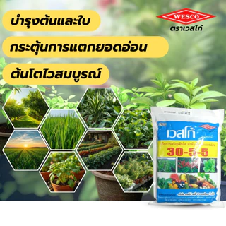 ปุ๋ยเกล็ด เวสโก้ 8-24-24+TE, 0-52-34, 7-13-34+Zn, 21-21-21+TE เร่งใบ ดอก ทำหวาน ปุ๋ยเคมี ปุ๋ยสูตรเสมอ