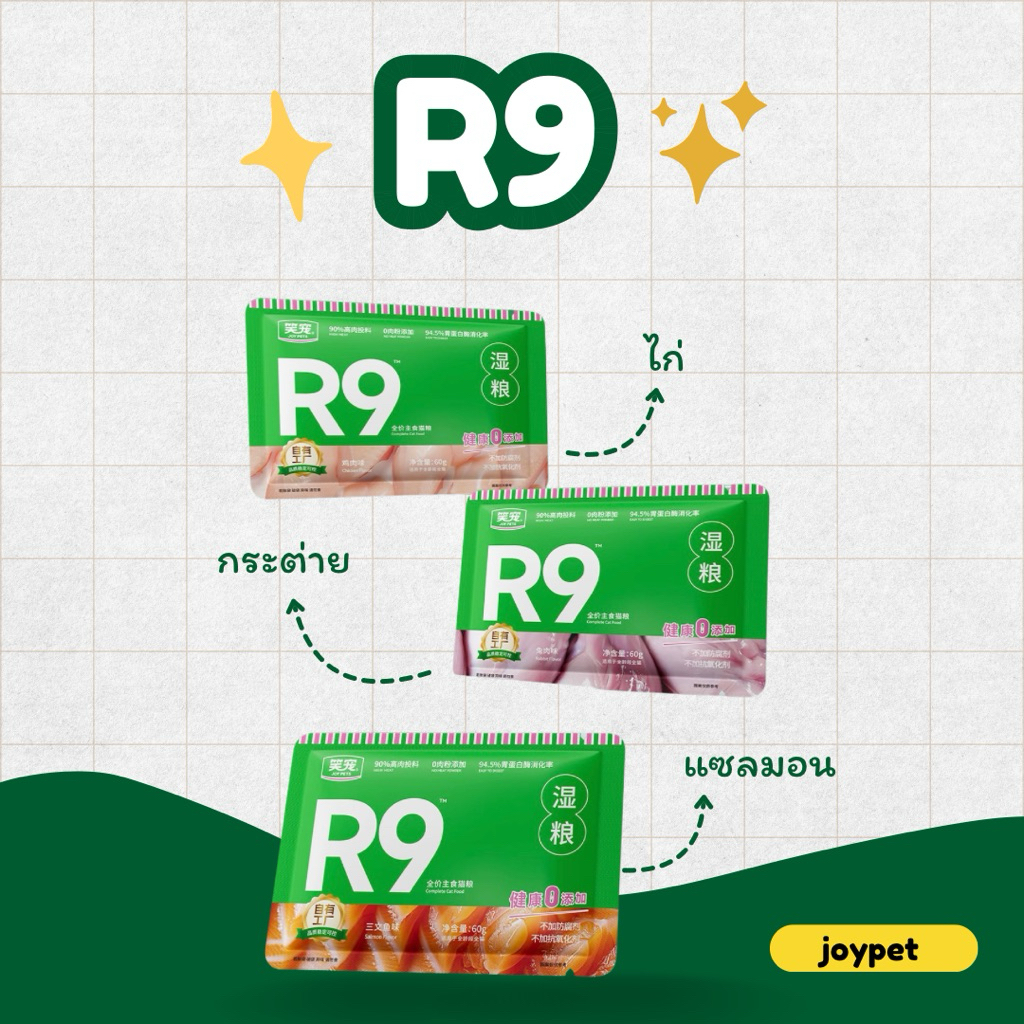 อาหารเปียกแมว R9 60 กรัม