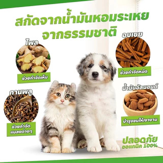 ยาฆ่าเห็บหมัด กำจัดเห็บและหมัด 500มล สเปรย์กำจัดเห็บ กำจัดเหาไรเห็บ หมัด สเปรย์กำจัดเห็บหมัด ส่วนผสมจากพืชขวด