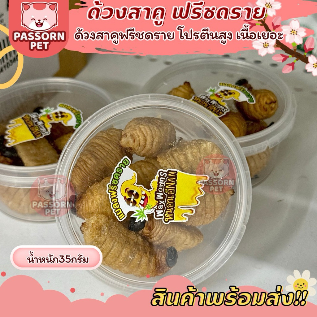 [Passorn.Pet] ด้วงสาคูฟรีชดราย โปรตีนสูง เนื้อเยอะ สำหรับหนูแฮมสเตอร์ ชูการ์ไกลเดอร์ เม่นแคระ ลิง