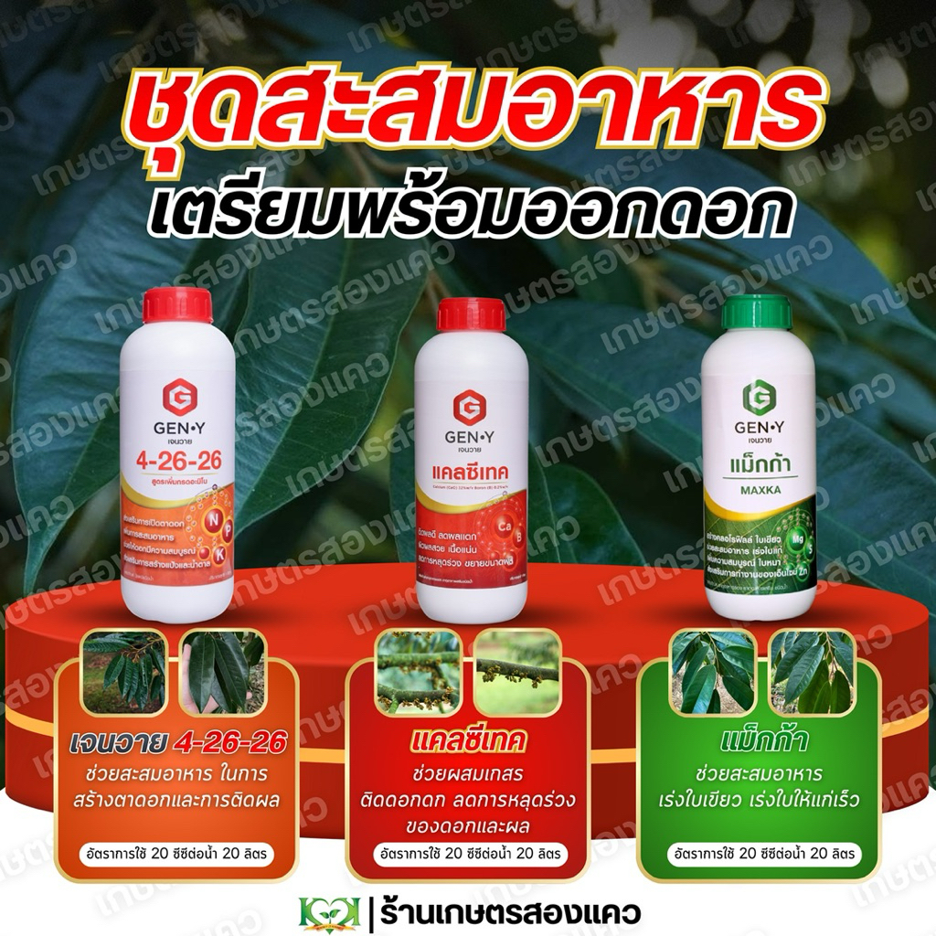 ชุดสะสมอาหารเจนวาย : ช่วยให้ใบหนา ใบเขียวเข้ม สะสมแป้งและน้ำตาลเตรียมพร้อมการออกดอก [ขนาด1ลิตร มีจำนวน3ขวด]