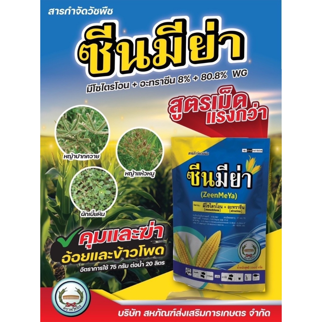ใหม่!! ซีนมีย่า ตราหวีทอง (มีไซไตรโอน + อะทราซีน) คุมและฆ่าหญ้าในอ้อยและข้าวโพด สูตรเม็ดแรง 3 เท่า ชนิดเกล็ด 1 กิโลกรัม