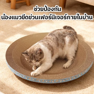 อ่างลับเล็บแมว ทรงวงรี ที่ลับเล็บแมว คุณภาพดี ที่ลับเล็บแม 2in1 กระดาษลับเล็บวงรี ที่ลับเล็บแมว รูปอ่าง ที่ฝนเล็บแมว
