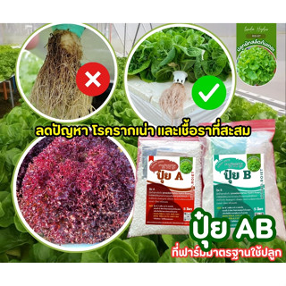 (ขายดี) ปุ๋ย AB สูตรเข้มข้น ใช้นิดเดียว ราคาประหยัด แบบทดลอง…