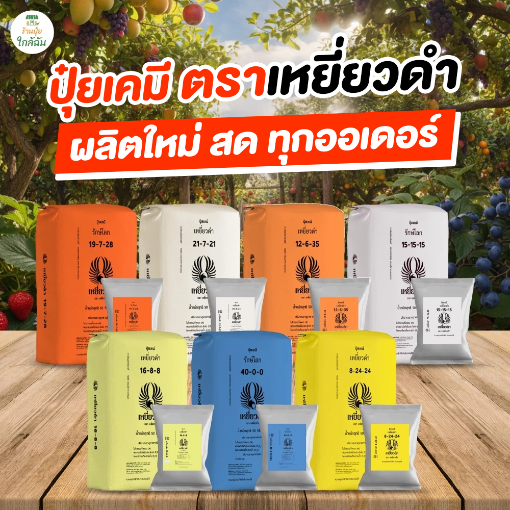 ปุ๋ยเคมี ปุ๋ยเหยี่ยวดำ (1 กก.) ปุ๋ย 8 24 24 / ปุ๋ย 15 15 15 สูตรเสมอ เร่งดอก เร่งใบ ทำหวาน ขยายผล ปุ