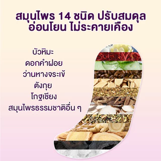 Cottonday แผ่นดูแลสมุนไพร Snow Lotus 160 มม. 2 ชิ้น ช่วยขับสารพิษ ดับกลิ่น ผงสมุนไพรปริมาณสองเท่า​