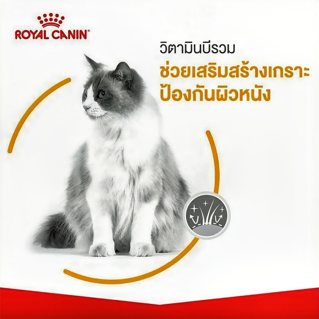 [แบ่งขาย] อาหารแมว Royal canin สูตร Hair&Skin 500g 1kg 2kg บำรุงขนและผิวหนัง รูปที่ 5