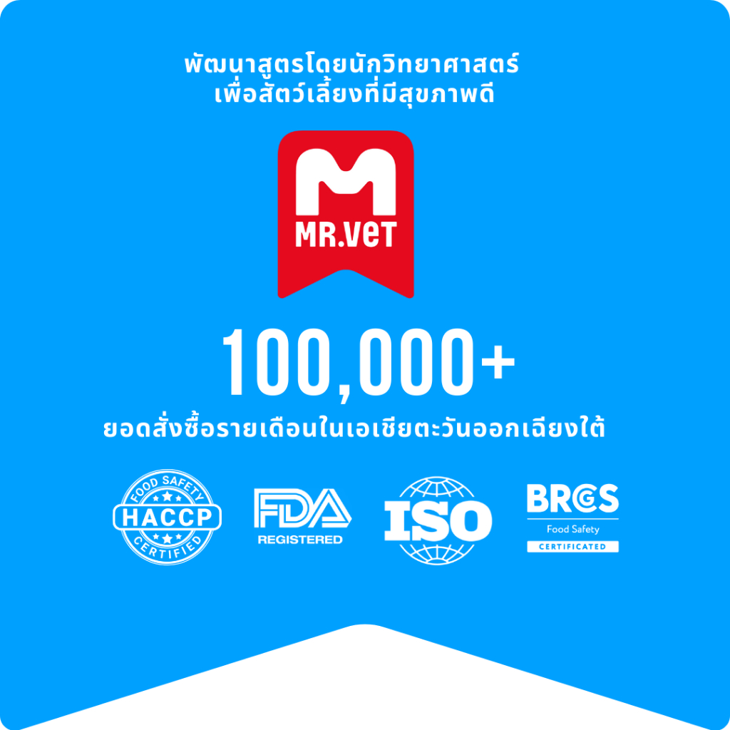 รูปภาพ 8