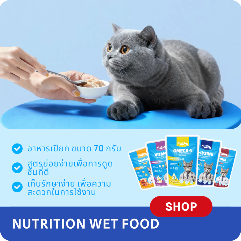 MRVET อาหารเปียกแมว 12ซอง ไม่ใส่สารปรุงแต่ง thumbnail 6