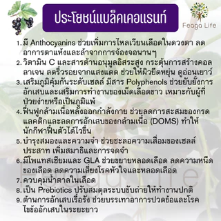 ผงแบล็คเคอแรนท์ สายตา ออกกำลังกายอึด ทน ยี่ห้อ Feaga Life Organic Blackcurrant Powder 100 กรัม