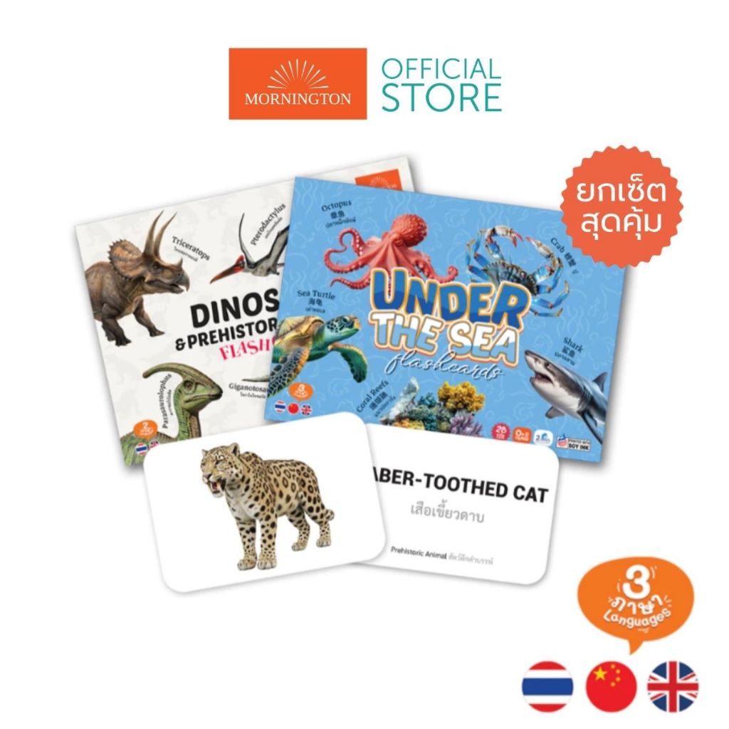Mornington Flashcard ชุดการ์ดคำศัพท์ ขนาด A5 แฟลชการ์ด 3 ภาษา เสริมพัฒนาการเด็ก / กล่อง