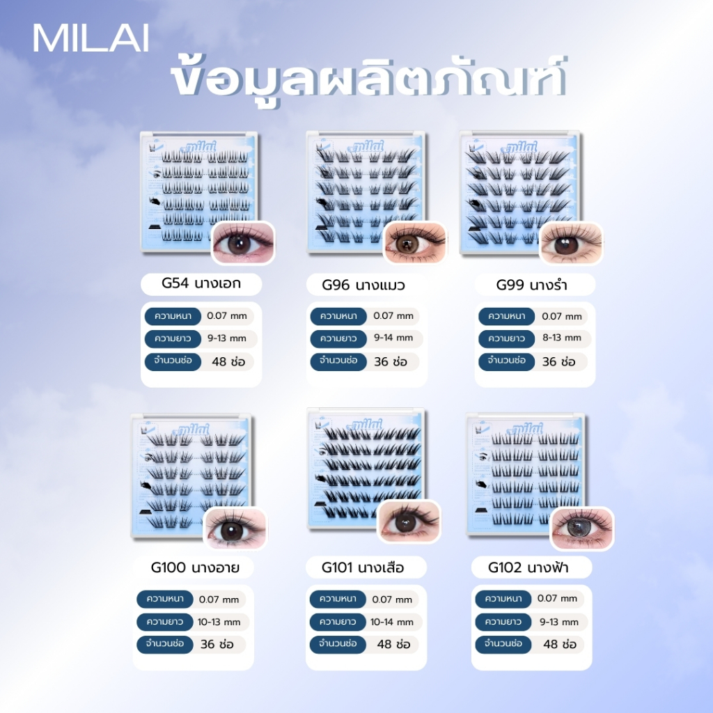 รูปภาพ 4