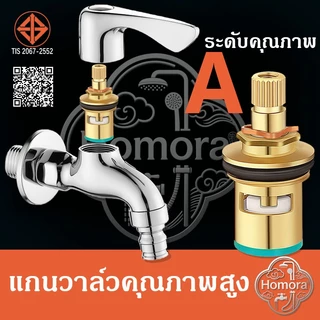 อุปกรณ์เสริมก๊อกน้ํา, แกนก๊อกน้ํา, อเนกประสงค์, แกนทองเหลือง, แกนก๊อกน้ําเย็นเดี่ยว, วาล์วเย็นเดี่ยวทองแดงทั้งหมด