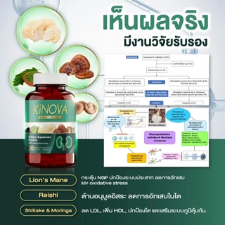 KINOVA คิโนว่า วิตามินบำรุงไต 1 แถม 1 กระปุก รวม 60 แคปซูล!