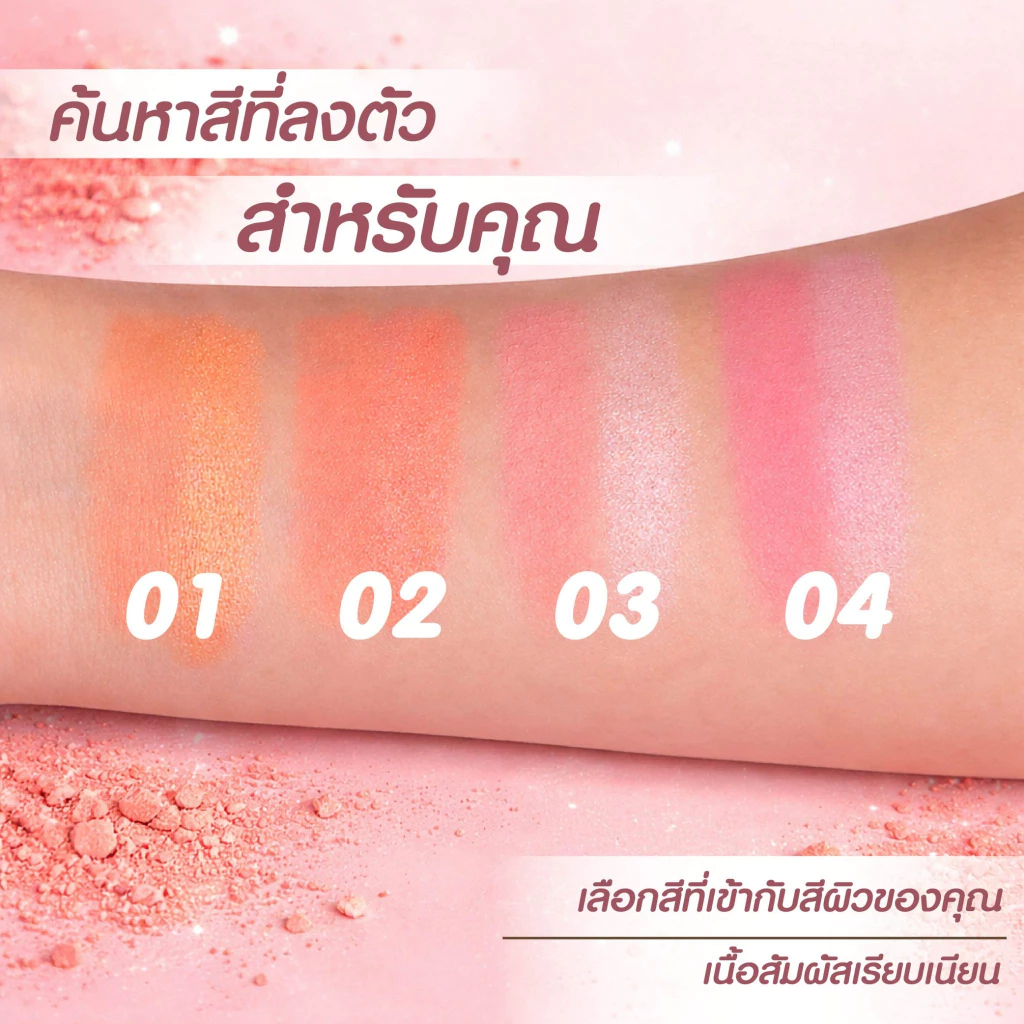 PALA Beauty Ombre Bicolors Powder Blusher บลัชออนฝุ่น 2 สี แบรนด์ไทย thumbnail 3