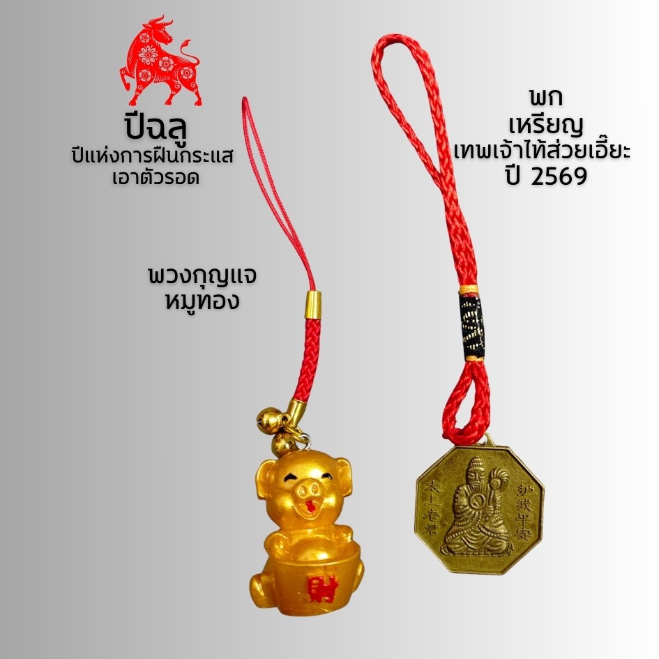 ชุดแก้ชงปี 2569 !! เสริมดวง แก้ชง12นักษัตร ปีมะเมีย ม้าไฟ พร้อมส่ง - รูปที่ 2