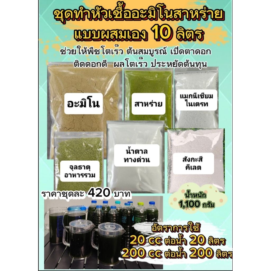 ชุดทำอะมิโนสาหร่าย 10 ลิตร ช่วยให้พืชโตเร็ว กระตุ้นการเปิดตาดอก ติดผลดี  ผลโตเร็ว ประหยัดต้นทุน
