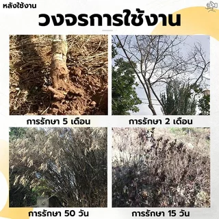 【วัชพืชดื้อ】กำจัดวัชพืช 500g ยาฆ่าตอไม้ ยาฆ่าต้นไม้ใหญ ตรงไปที่ราก สารกำจัดกอไผ่ สากลทุกฤดูกาล ผลติดทนนาน