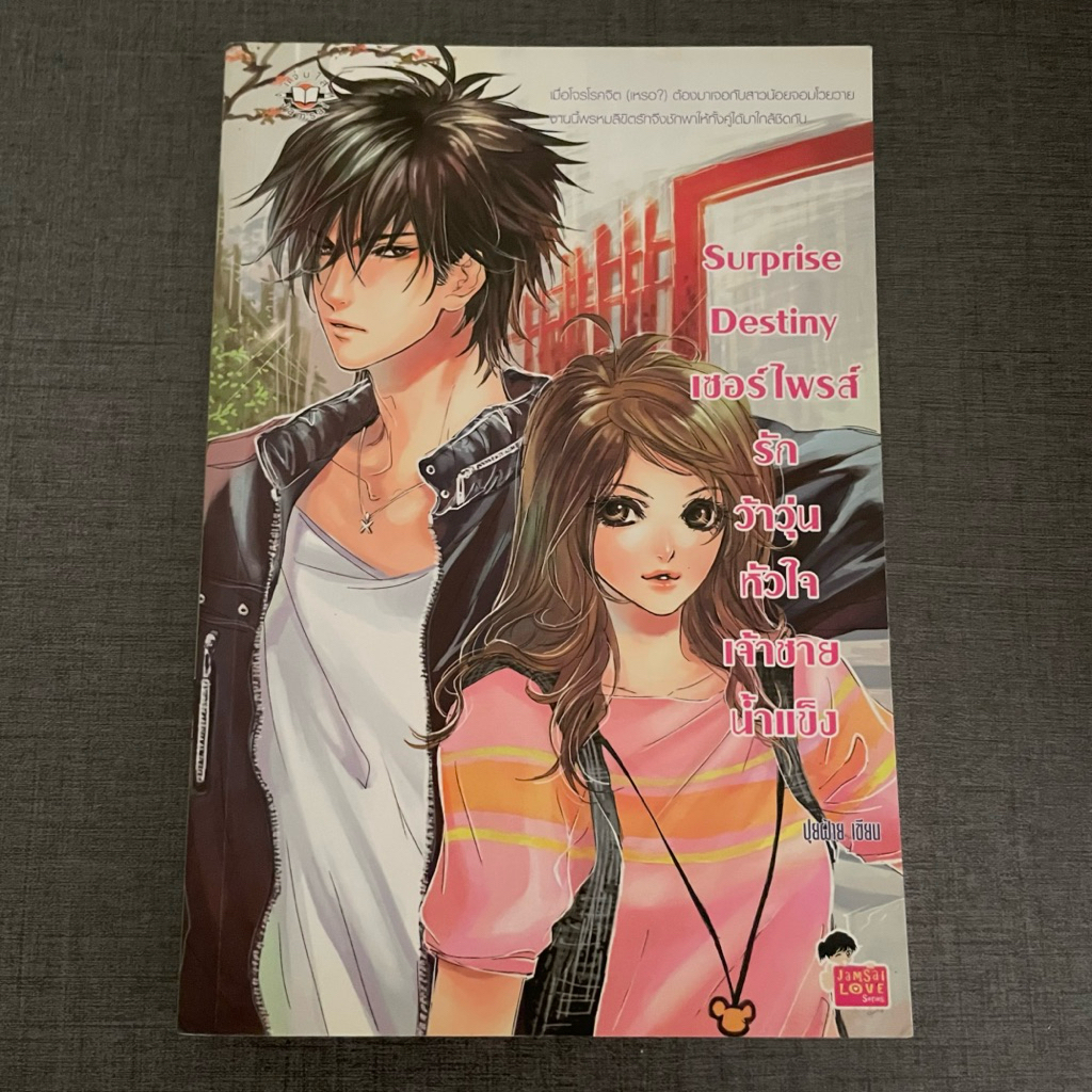 Surprise Destiny เซอร์ไพรส์รักว้าวุ่นหัวใจเจ้าชายน้ำแข็ง | นิยายแจ่มใสมือสอง