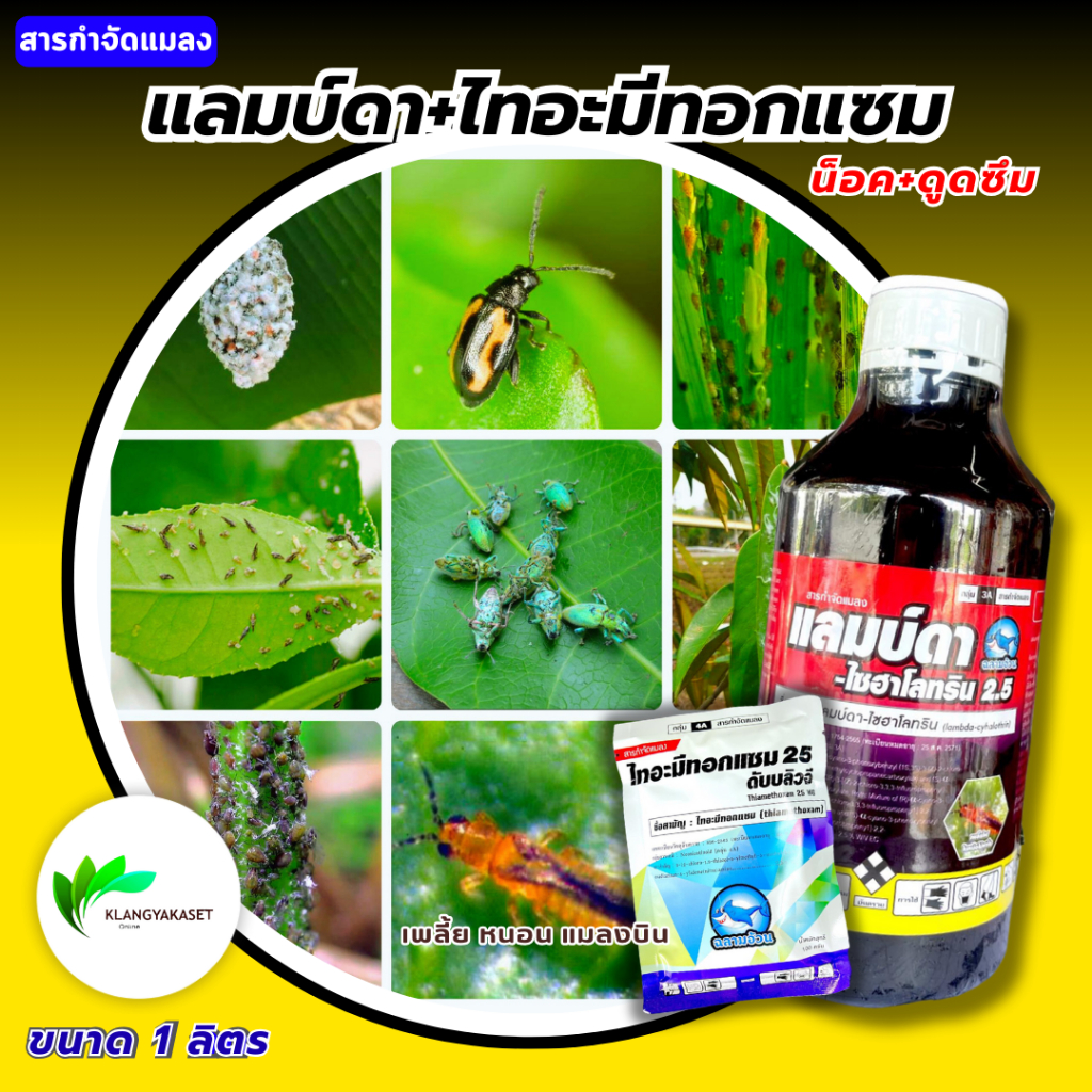 ยกลัง 12ขวด แลมบ์ดา 1 ลิตร ฉลาม สารกำจัดแมลง แลมป์ดา-ไซฮาโลทริน แลมบ์ดา ไซฮาโลทริน ยาน็อคแมลง สูตรเย็น สารกำจัดแมลง แลมด