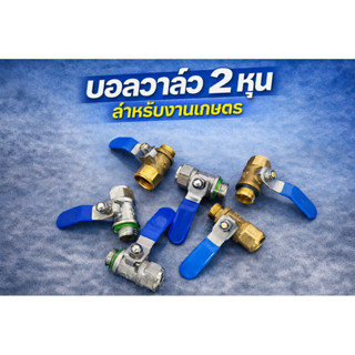 วาล์วพ่นยาแบบหนา ด้ามใหญ่ ก๊อกพ่นยา ผู้-เมีย เกลียว 2 หุล ใช…