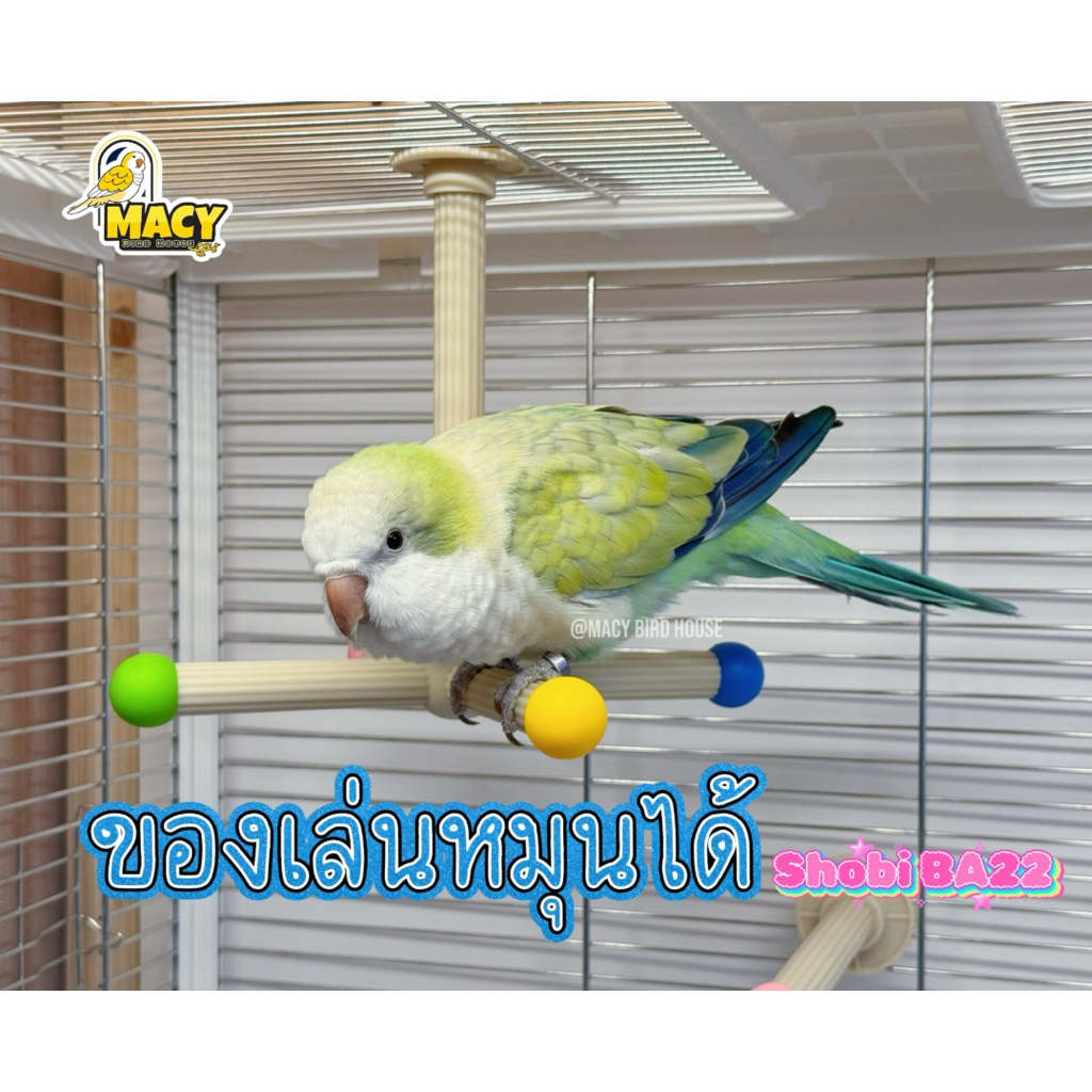 Shobi-BA19คอนเกาะเดี่ยว,BA22 คอนยืน คอนหมุนได้