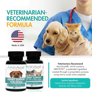 Preorder28Aug❌ตัวแทน Renavast😻AminAvast Kidney Support for Cats and small Dogs 60 Capsules นำเข้าจากUSA