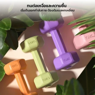 Crassula แท้ ดัมเบลปูนซีเมนต์ Cement Dumbbells แบบคลาสสิก สำหรับสร้างกล้ามเนื้อ เวทเทรนนิ่ง ออกกำลังกายที่บ้าน