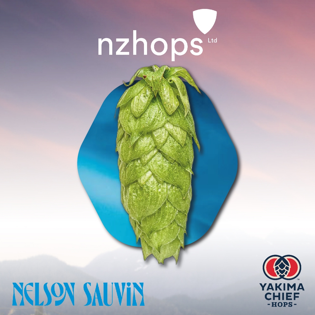 Nelson Sauvin – Crop 2025 (1oz./2oz.)